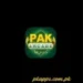Pak Arcade Game APK