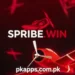 Spribe Win Game