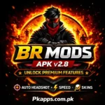 BR Mods APK