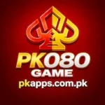 PK080 Game