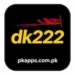 DK222 Game