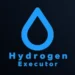 Hydrogen Executor APK