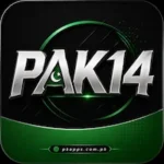PAK14 Game